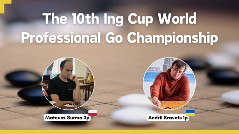European professional players at the 10th Ing Cup World Professional Go Championship