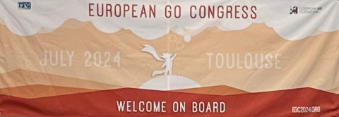 Impression of the EGC 2024 in Toulouse